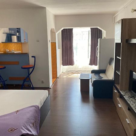 Garsoniera One Bedroom Apartment Hunedoara Luaran gambar